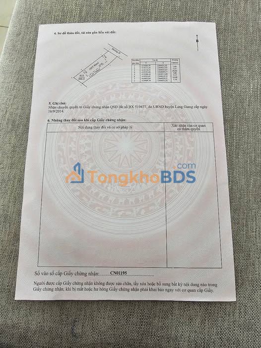 Đất nền Lạng Giang 200m² - Sổ đỏ sẵn sàng, gần TL295