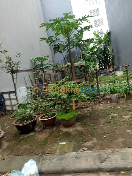 Bán Đất Nền 50m² Ngô Đình Mẫn, Hà Đông - Sẵn Sàng Xây 5 Tầng, Ô Tô Tránh