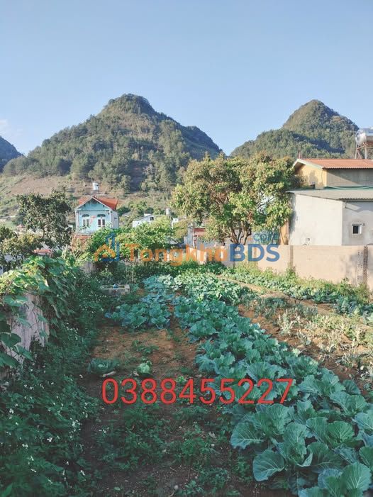 Đất nền Mộc Châu 184m² - Gần trường học, ô tô vào tận cửa - 1.6 tỷ
