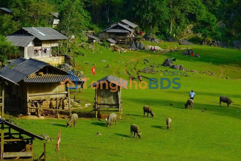 Đất nền Đông Sang Mộc Châu 1.000m² giá 4 tỷ - Sổ đỏ chính chủ