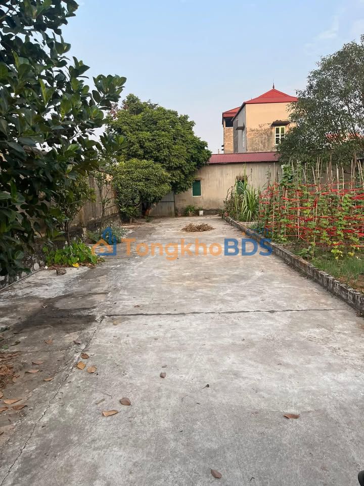 Bán Đất 82m² Xuân Lâm, Bắc Ninh - Sổ Đỏ, Gần QL17, Giá 3 Tỷ