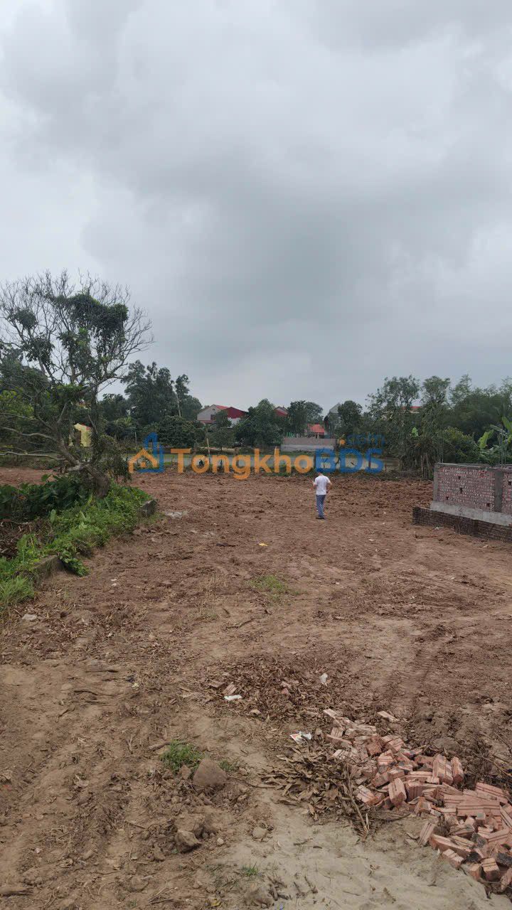 Bán Đất Giáo Dục 11ha Hải Dương - Sổ Đỏ Rõ Ràng, Giá Đầu Tư 8x Tỷ