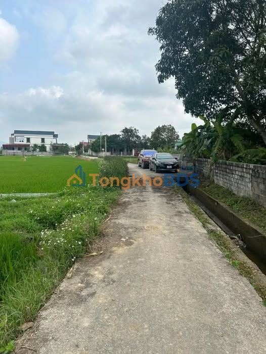 Đất nền Long An 250m² full thổ cư - Sổ hồng sẵn, giá đầu tư 5xx triệu