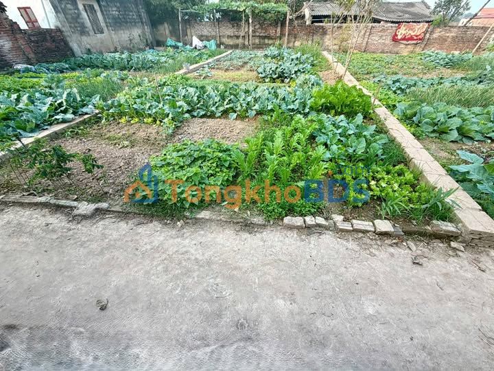 Đất nền Mỹ Đức 80m² - Sổ đỏ sẵn sàng, hạ tầng hoàn thiện