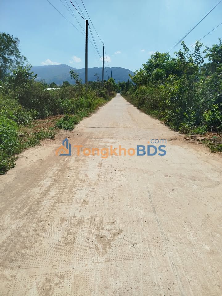 Bán Đất Đạ Tông, Lâm Đồng - 308m² - 10.75 Tỷ - Sẵn Sổ