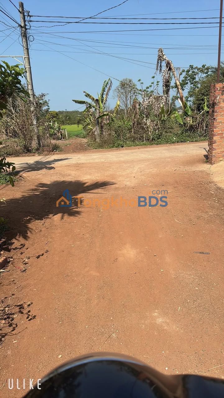 Đất nền Phước An, Krông Pắc - 110m² Giá chỉ 3xx Triệu - Sổ đỏ sẵn sàng