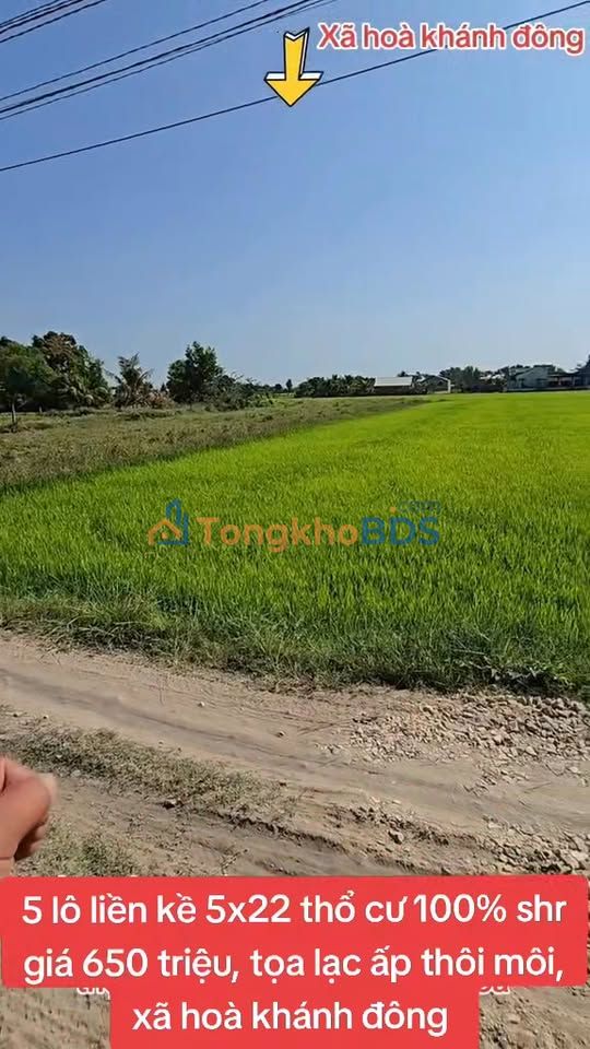 Bán Gấp 5 Lô Đất 5x22m Mặt Tiền Đường Đá Xanh - Đức Hòa, Long An