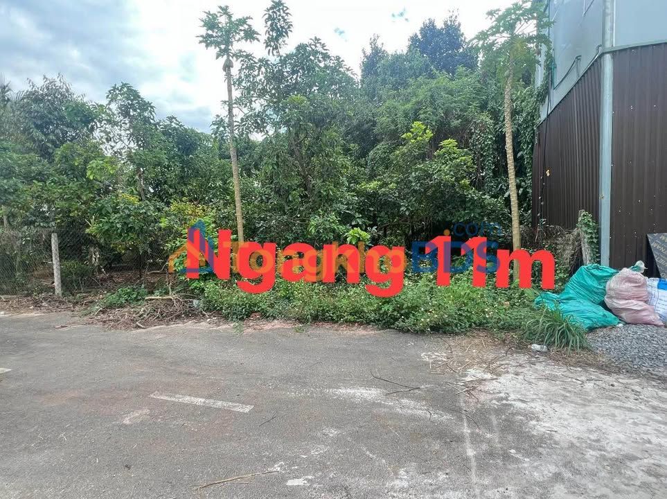 Đất thổ cư Long Khánh 110m² - Sổ sẵn, ngay chợ Bình Lộc