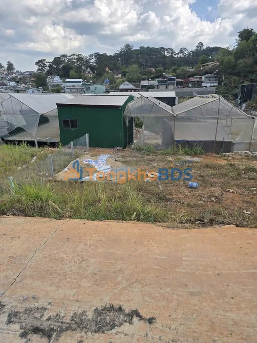 Đất nền Phường 6 Đà Lạt 60m² 750 triệu - Đường to ô tô