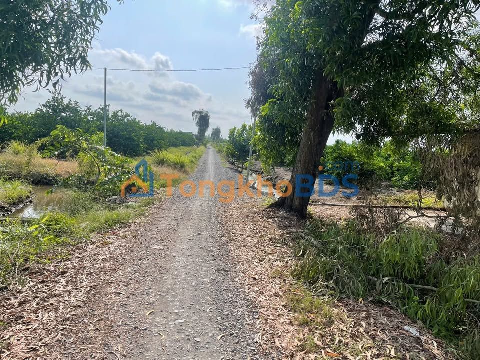 Đất Bến Lức 1.005m² 960 triệu - Xây dựng tự do