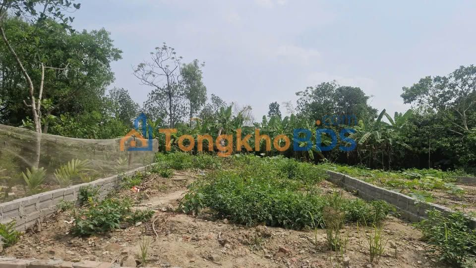 Bán Đất Vũ Bản, Bình Lục - 65m² Sổ Đỏ Sẵn Sàng - Giá Chỉ 410 Triệu