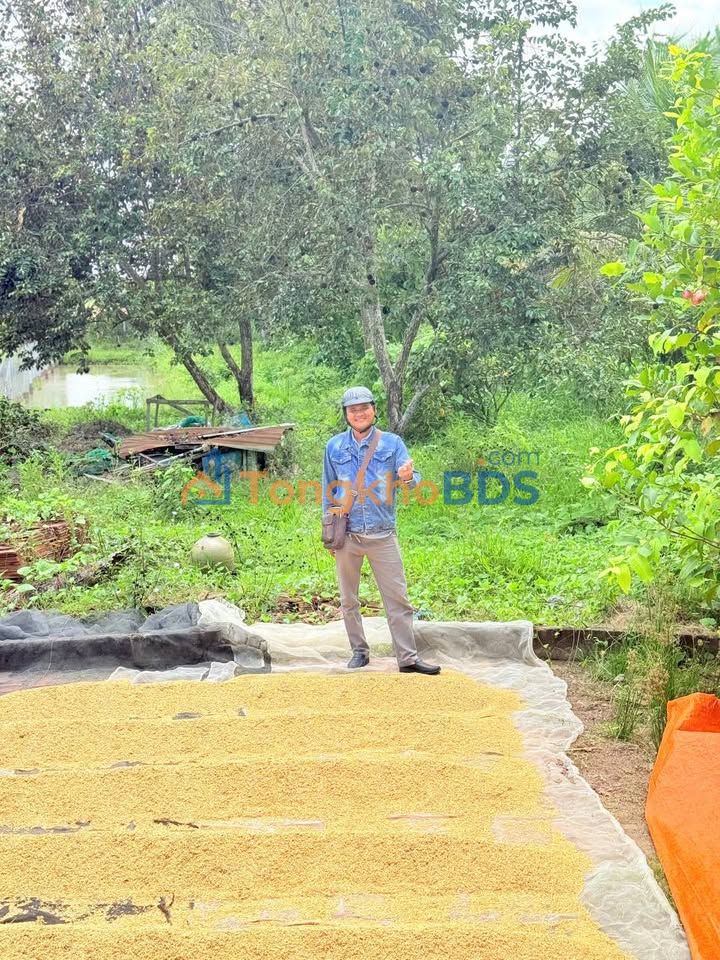 Đất Nền Cần Thơ 667m² Giá 999 Triệu - Vị Trí Đắc Địa, Sổ Đỏ Sẵn Sàng