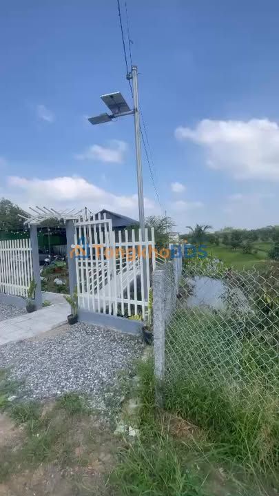 Farm Nghỉ Dưỡng 3667m² Bạc Liêu - Sầu Riêng 3 Năm, Sẵn Nhà Thủy Tạ