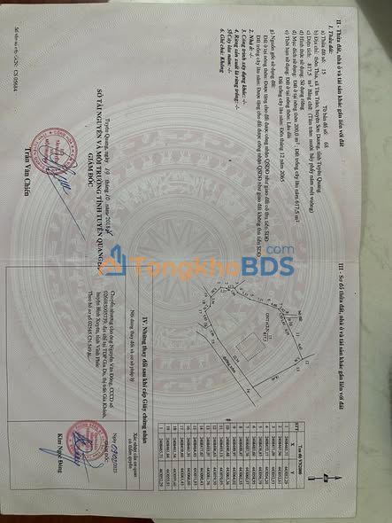 Đất nền Tân Trào 1.400 m² 1.2 tỷ - Tiềm năng tăng giá