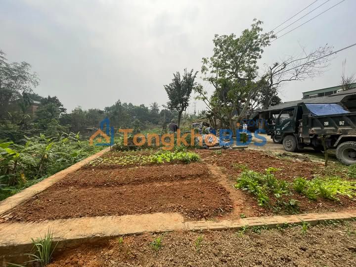 Bán đất 96m² trung tâm TP Tuyên Quang, gần Võ Chí Công - 1 tỷ