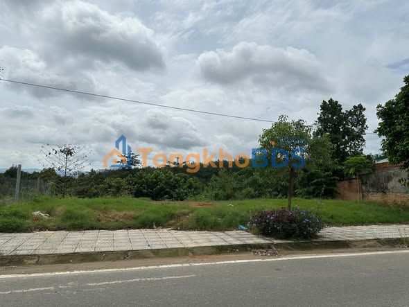 Đất Mặt Tiền TL725 Đạ Tẻh - 298m² Sổ Đỏ, Giá 38.7 Tỷ - Kinh Doanh Lý Tưởng