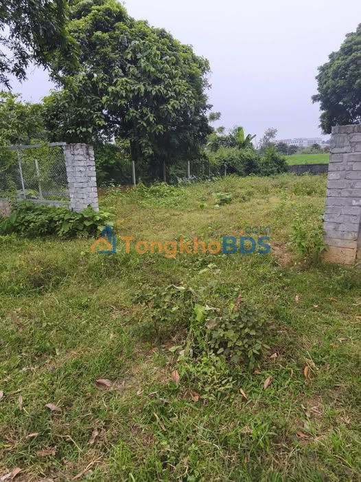 Đất Nền Phường An Tường, Tuyên Quang - 135m² - Sổ Thổ Cư, Giá Tốt