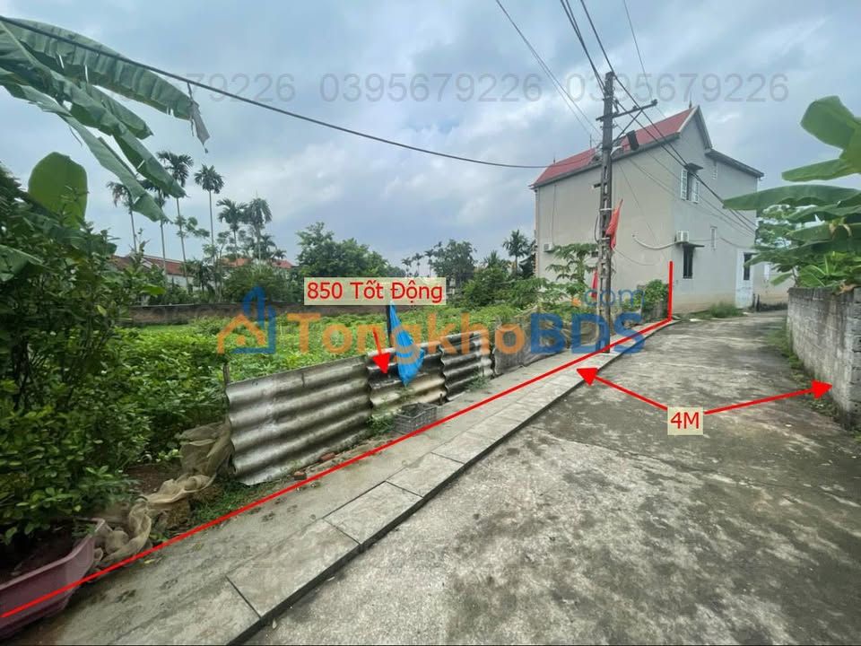 Đất Thổ Cư 850m² Chương Mỹ - Sổ Đỏ Chính Chủ, Ô Tô Tận Nơi