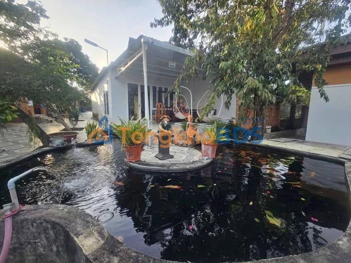 Cho thuê Nhà Vườn 5000m² Nguyễn Trường Tộ BMT - Kinh doanh Homestay/Nghỉ dưỡng