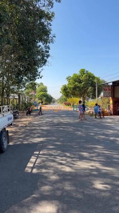 Bán Gấp Vườn Trái Cây 710m² Mặt Tiền Nhựa 6m - Sổ Thổ Cư Tại Long Châu, Hậu Giang