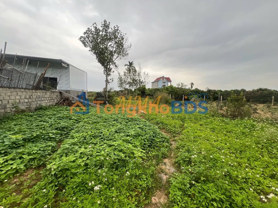 Đất Vườn Lục Ngạn 1664m² Sổ Đỏ - Cơ Hội Đầu Tư Sinh Lời