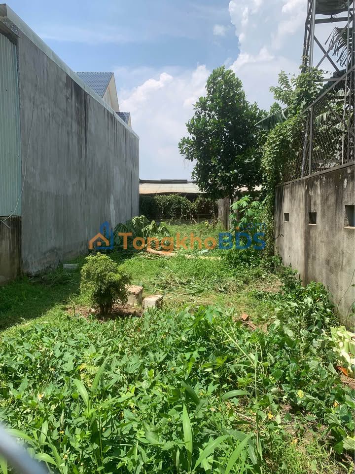 Đất nền Trảng Bom 110m² Sổ Riêng - Gần Chợ Phú Sơn, Giá 990 Triệu