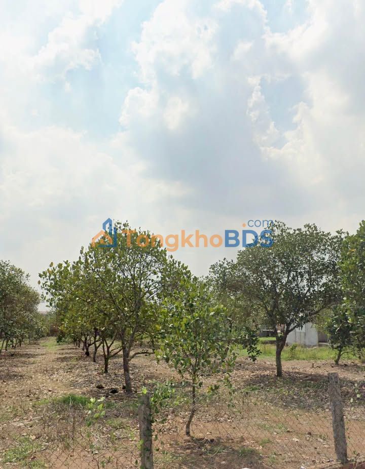 Đất nền 200m² Xã Bình Minh, Trảng Bom - Sổ chung giá tốt