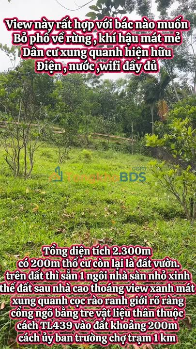 Đất thổ cư Quyết Thắng 2300m² 1,5 tỷ - Sổ hồng chính chủ