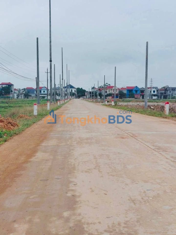 Đất Đấu Giá Hoàng An, Tam Dương 120m² - Sổ Đỏ Sẵn Sàng, Tiềm Năng Sinh Lời Vượt Trội