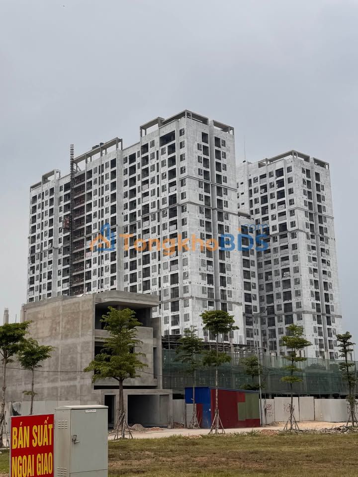 Chung cư TT01 Hoài Đức - 4 Suất Ngoại Giao Tầng 11, 12 Giá Tốt