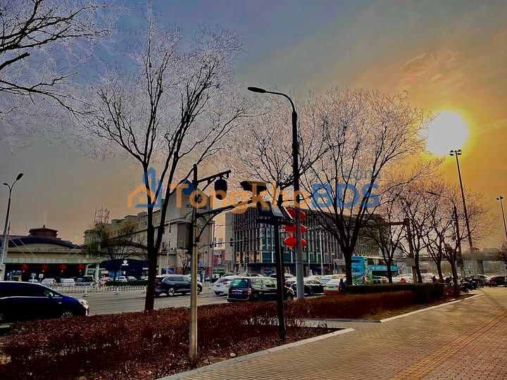 Đất Vườn Nghỉ Dưỡng 16.000m² Mặt Tiền Dương Đông - Bãi Thơm, Phú Quốc