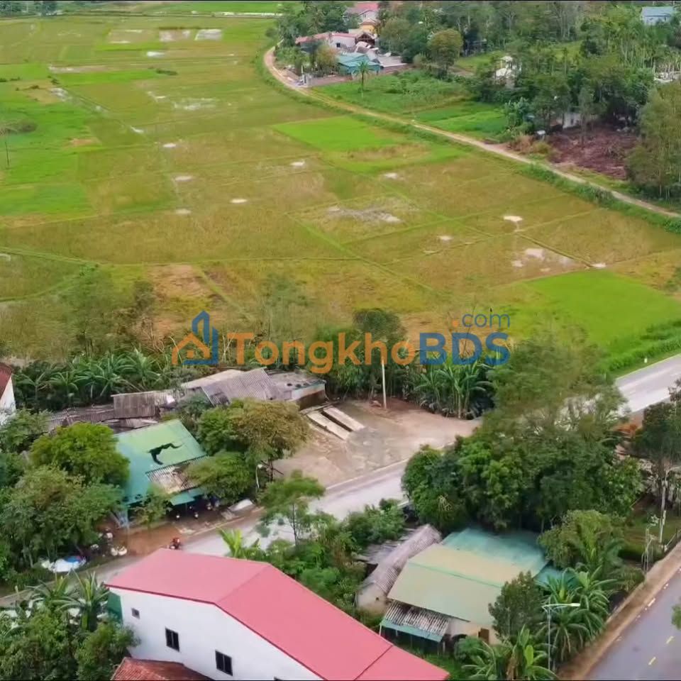 Bán Đất Vườn 1559m² Hương Sơn, Hà Tĩnh - Sẵn Sàng Đầu Tư