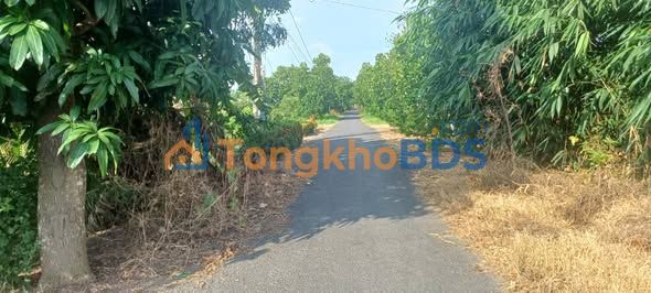 Đất Vườn 30.000m² Đồng Tháp - Sẵn Sàng Trồng Trái Cây Giá Tốt