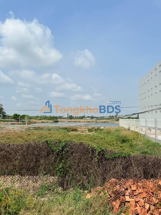 Bán Đất Nền Đường Nhựa Xã An Bình, Cao Lãnh - 196m² Giá 1.5 Tỷ