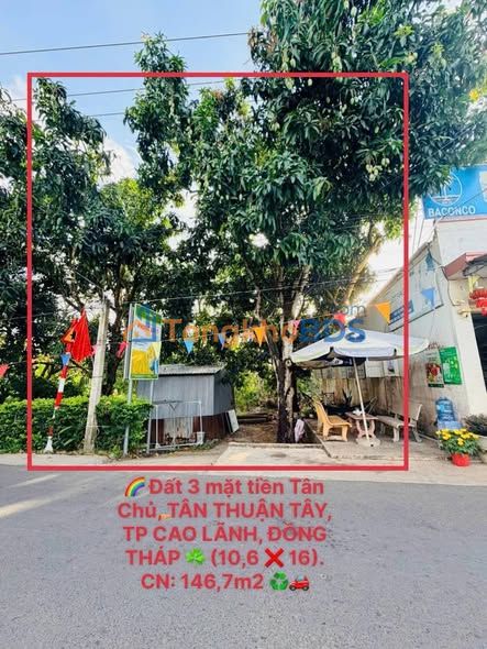 Đất Mặt Tiền Kinh Doanh Nguyễn Công Nhàn, Cao Lãnh - 146m², Chỉ 1.25 Tỷ