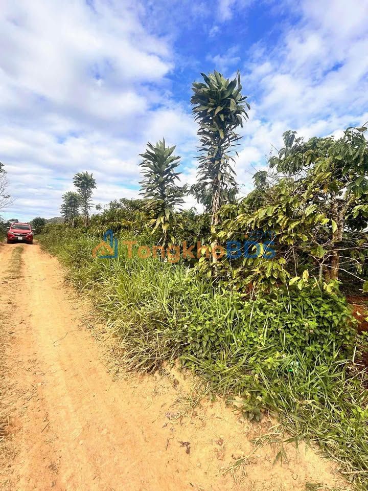 Bán Đất Nền Di Linh 5760m² - Sổ TC, Sẵn Sàng Xây Dựng - 1.55 Tỷ