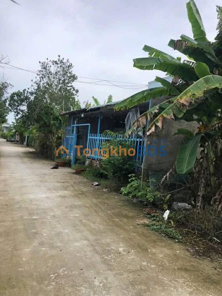 Bán Đất Thổ Cư Tặng Nhà Cấp 4 Phường Ô Môn, Cần Thơ - 148.68m² Hướng Đông