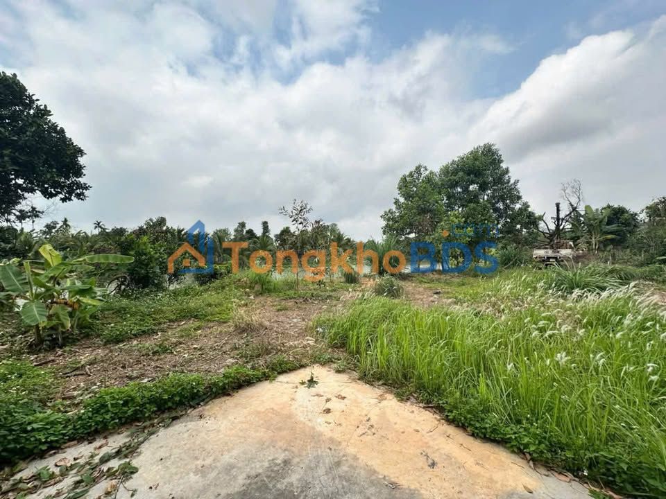 Bán Gấp Đất Nền 896m² Thủy Nguyên, HP - View Sông Ngọc, Xe Tải Đỗ Cửa