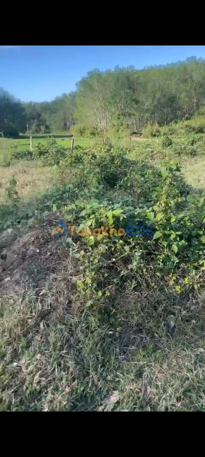 Đất vườn Thôn 4 Đắk Cấm 720m² 1xx triệu - Sinh thái xanh