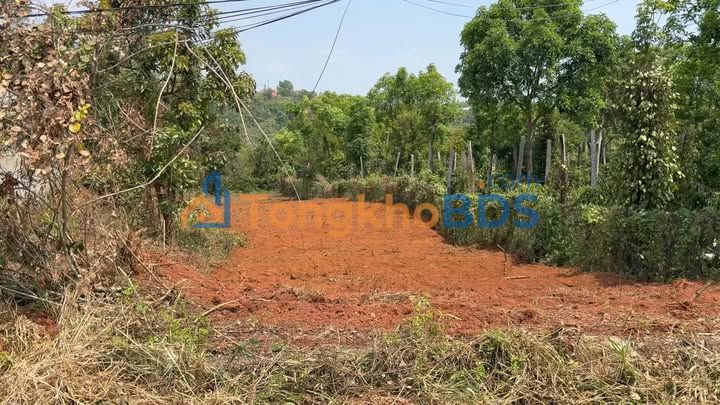 Bán đất 350m² Đắk Song, Đắk Nông - Sổ đỏ, 800 triệu, gần TT