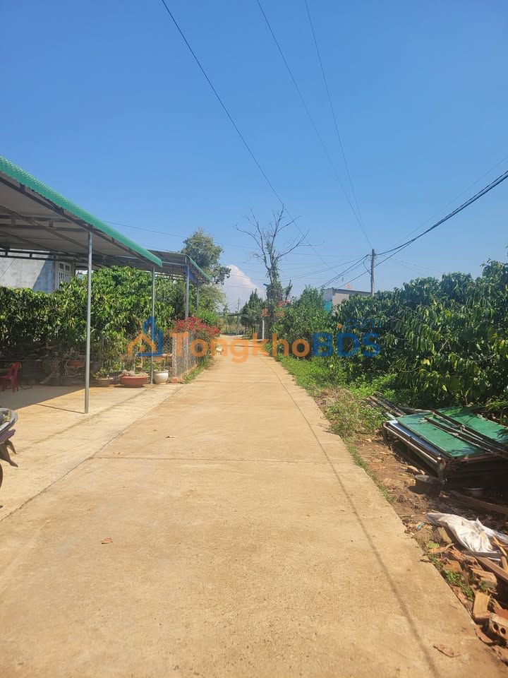 Bán Gấp Đất 4200m² Xã Tân Văn, Lâm Hà - Sổ Hồng Sẵn Sàng