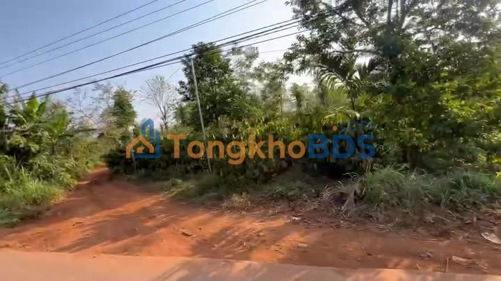 Đất thổ cư 200m² Buôn Pu Huê, Krông Bông - Sổ hồng sẵn sàng, giá 2.8 tỷ