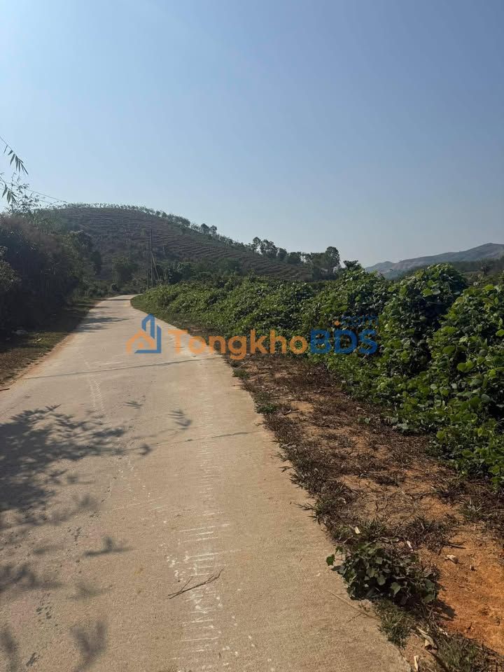 Farm Ngọc Réo Kon Tum 1,2ha giá 1,2 tỷ - Sinh thái xanh