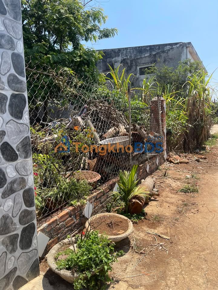 Đất Nền Phú Yên 110m² Mặt Tiền Tỉnh Lộ 9 - Sổ Đỏ Sẵn Sàng