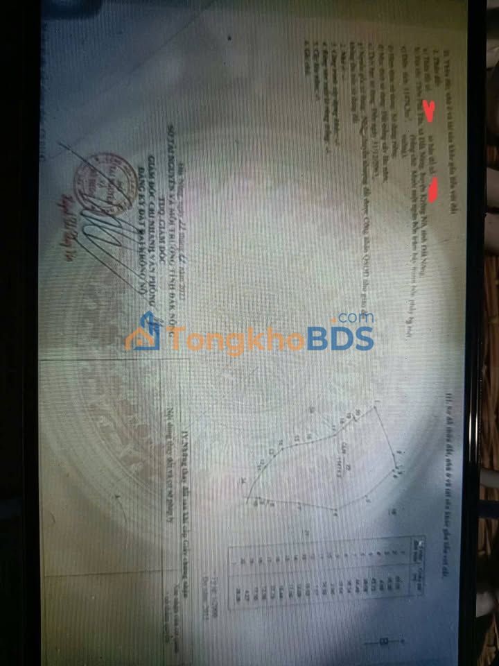 Bán Gấp Đất Nông Nghiệp 1.3ha Quảng Phú, Lâm Đồng - Sổ Hồng Sẵn Sàng