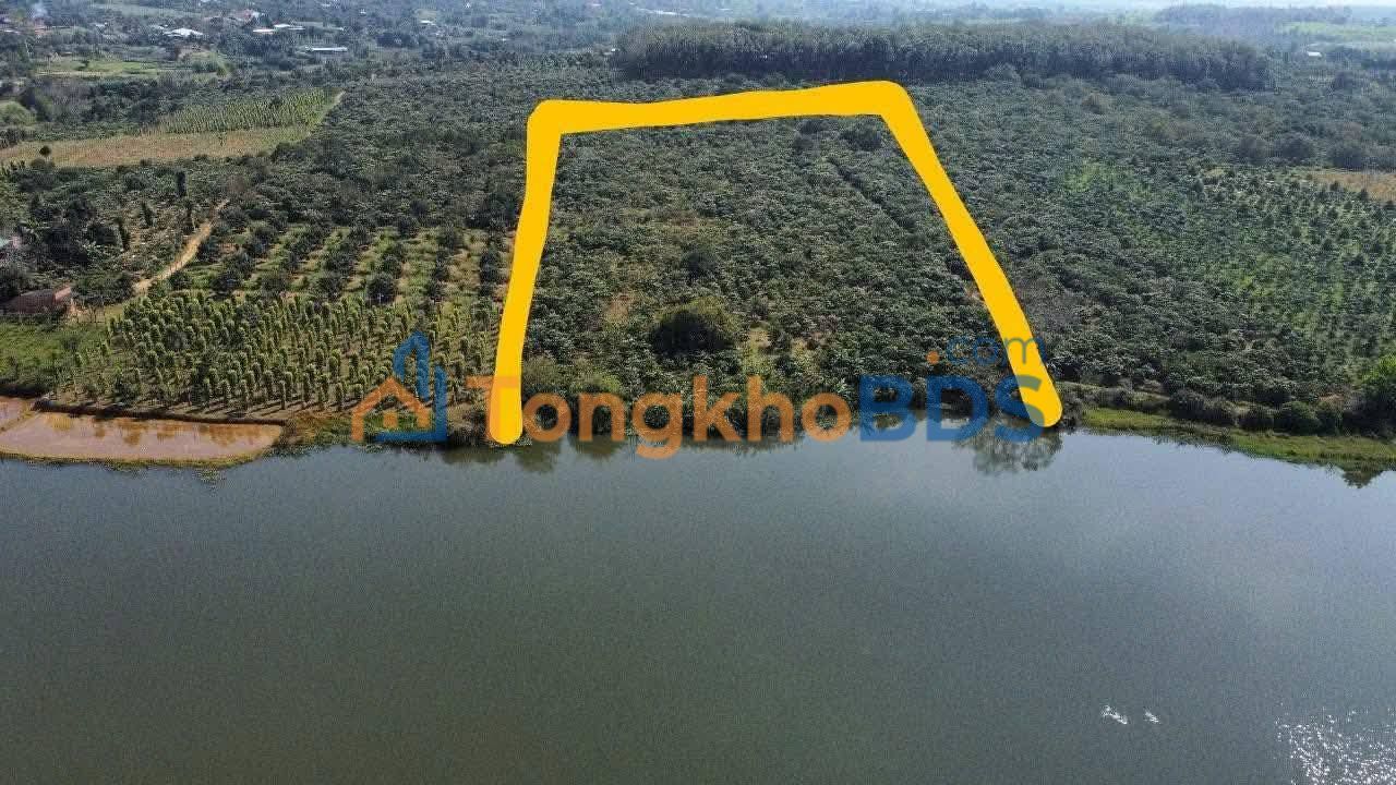 Bán Gấp 10.000m² Farm Cà Phê Kinh Doanh Tại Đắk Lắk - View Hồ Đẹp