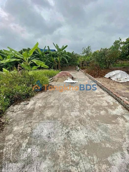 Bán đất thổ cư 100m² vuông vắn tại Xã Thanh An, TP. Hải Dương - Tặng 180m² đất vườn