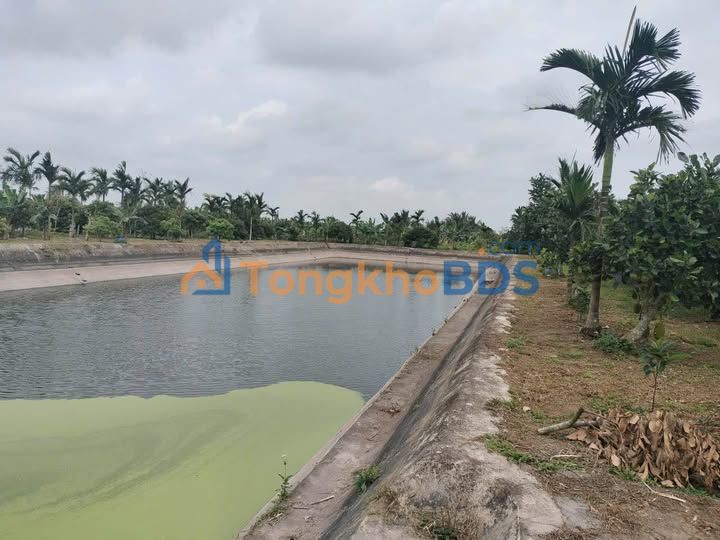 Bán đất Farm 3528m² Xã Vĩnh Lại, Bình Giang - Tiềm năng kinh tế vượt trội