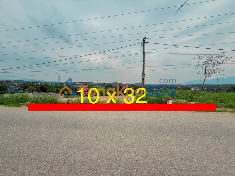 Đất Vườn Thanh Thủy 320m² Mặt Tiền Rộng - Tiềm Năng Đầu Tư Sinh Lời