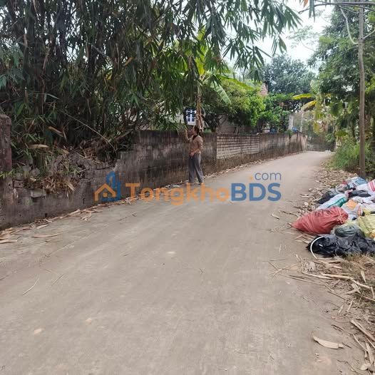 Đất Nền Lạng Giang 228m² - Mặt Tiền Rộng, Sổ Riêng Từng Nền